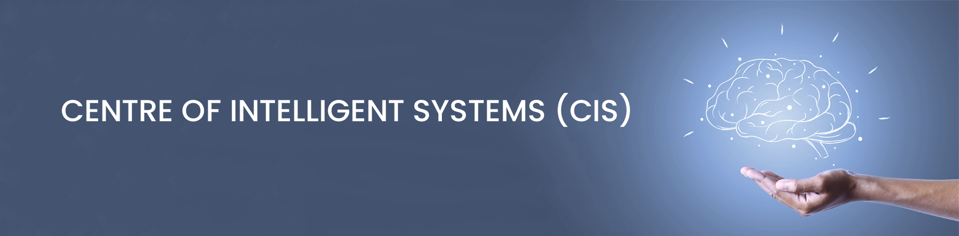 Centre of Intelligent Systems