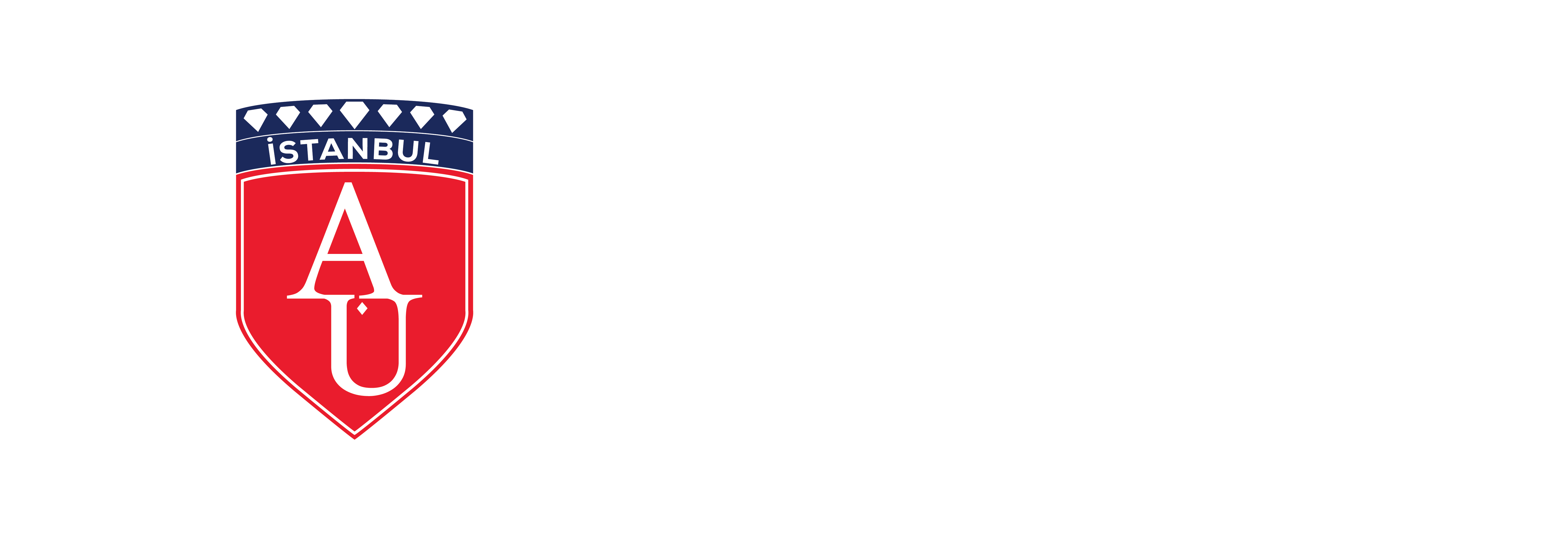Partner University
